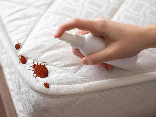 Best Emergency Pest Control  in Bellville, TX